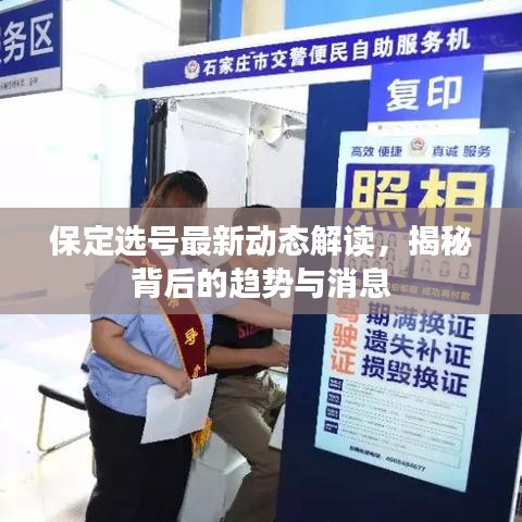 保定选号最新动态解读，揭秘背后的趋势与消息