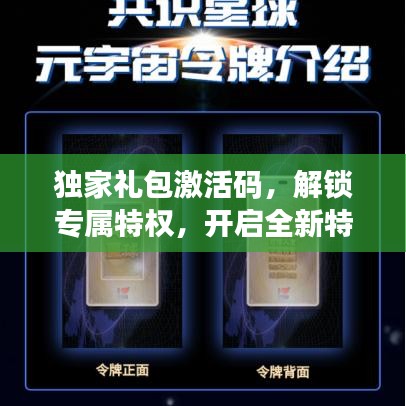 独家礼包激活码，解锁专属特权，开启全新特权纪元！