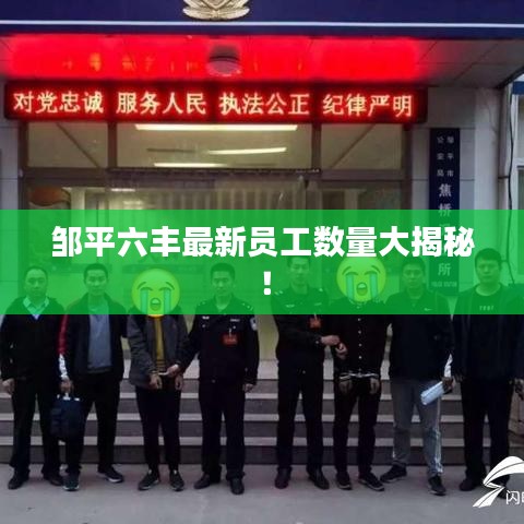 邹平六丰最新员工数量大揭秘！