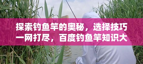探索钓鱼竿的奥秘，选择技巧一网打尽，百度钓鱼竿知识大全