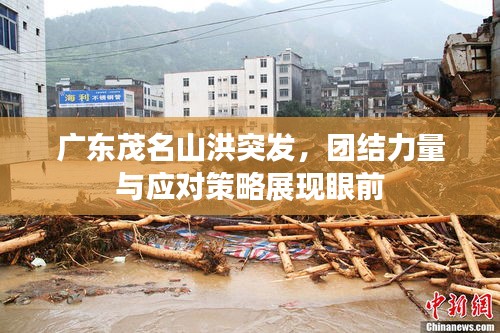 广东茂名山洪突发，团结力量与应对策略展现眼前
