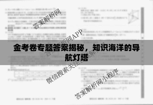 金考卷专题答案揭秘，知识海洋的导航灯塔