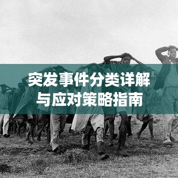 突发事件分类详解与应对策略指南