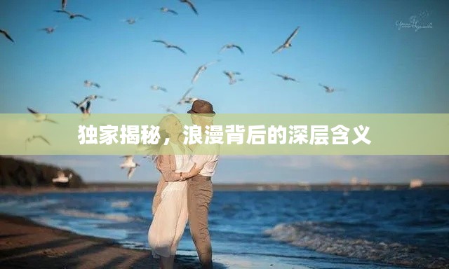 独家揭秘，浪漫背后的深层含义