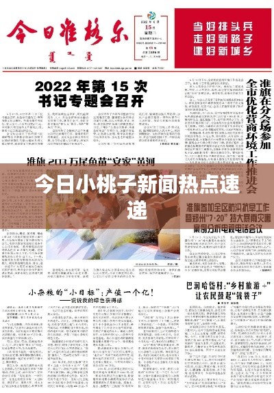 今日小桃子新闻热点速递