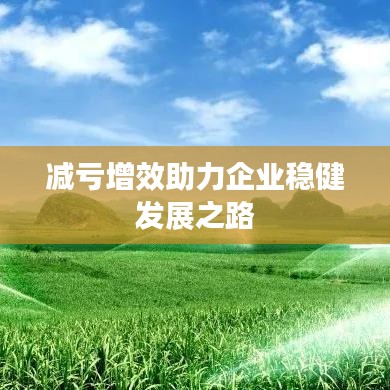 减亏增效助力企业稳健发展之路