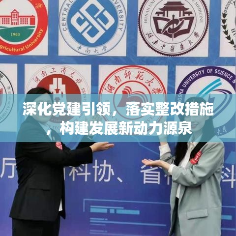 深化党建引领，落实整改措施，构建发展新动力源泉