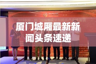 厦门城厢最新新闻头条速递