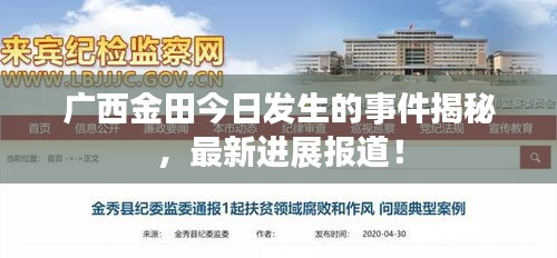 广西金田今日发生的事件揭秘，最新进展报道！