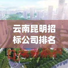 云南昆明招标公司排名揭秘，影响力深度解析