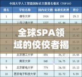 全球SPA领域的佼佼者揭秘，SPA世界排名榜单重磅出炉！