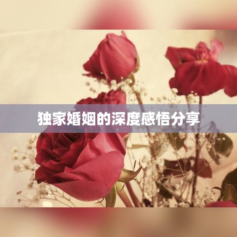 独家婚姻的深度感悟分享