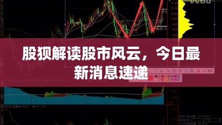 股狈解读股市风云，今日最新消息速递
