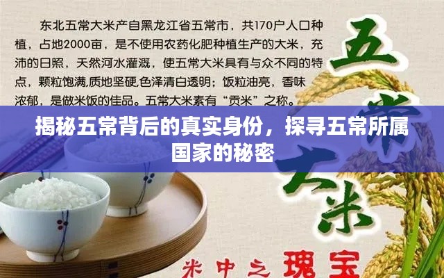 揭秘五常背后的真实身份，探寻五常所属国家的秘密