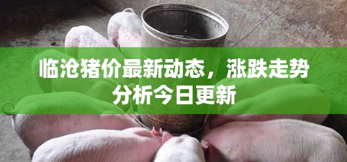物以稀为贵