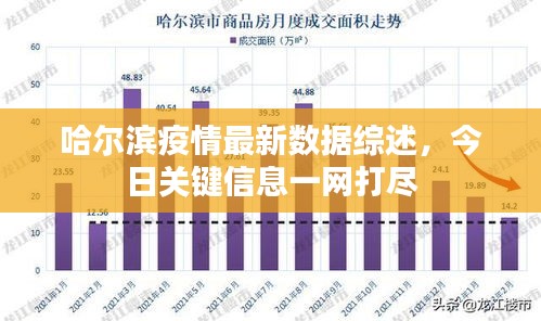 哈尔滨疫情最新数据综述，今日关键信息一网打尽