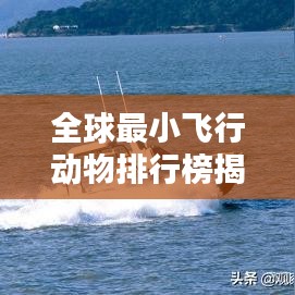 全球最小飞行动物排行榜揭秘！