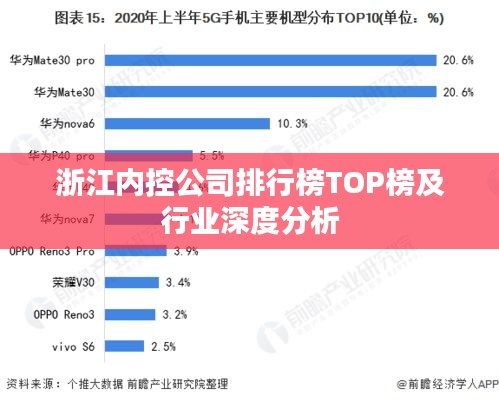 浙江内控公司排行榜TOP榜及行业深度分析