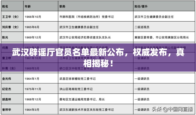 武汉辟谣厅官员名单最新公布，权威发布，真相揭秘！