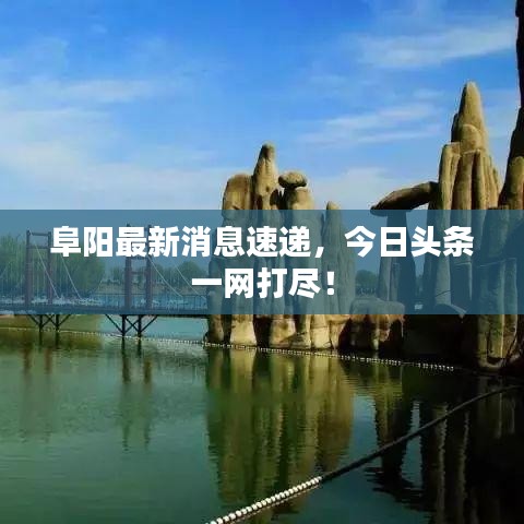 阜阳最新消息速递，今日头条一网打尽！