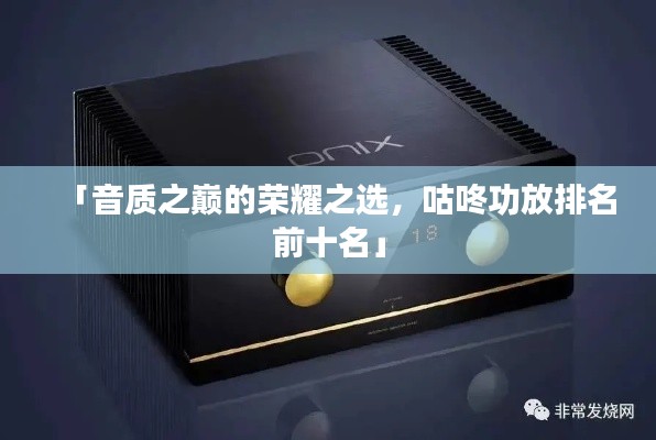 「音质之巅的荣耀之选，咕咚功放排名前十名」