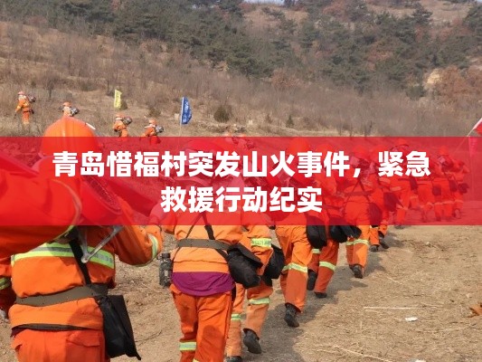 飞扬拨扈