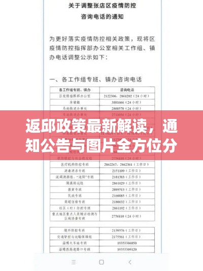 凤凰于飞