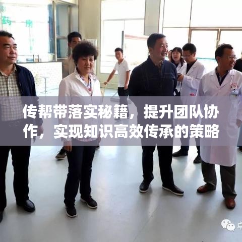 传帮带落实秘籍，提升团队协作，实现知识高效传承的策略