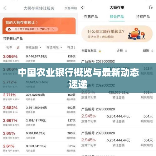 中国农业银行概览与最新动态速递