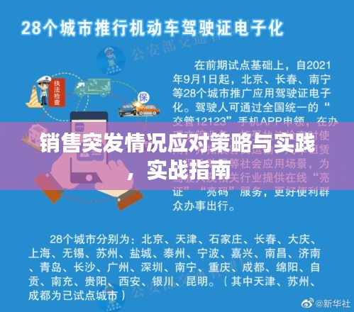 销售突发情况应对策略与实践，实战指南