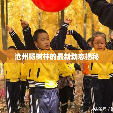沧州杨树林的最新动态揭秘
