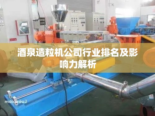 酒泉造粒机公司行业排名及影响力解析