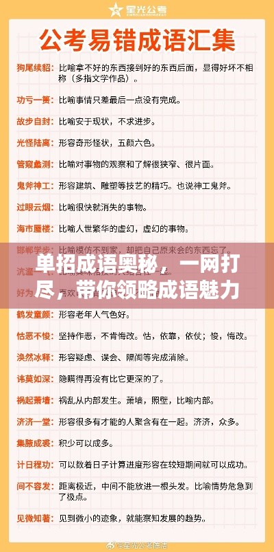 单招成语奥秘，一网打尽，带你领略成语魅力！