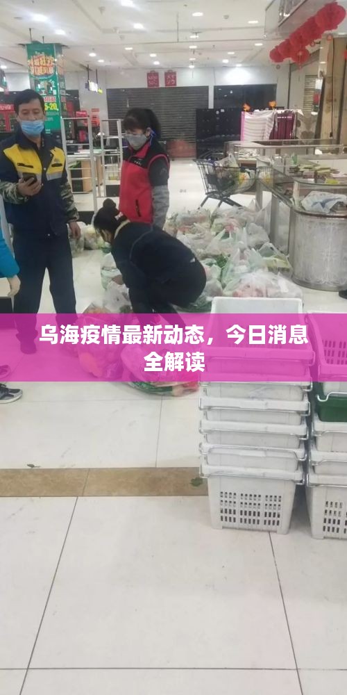 乌海疫情最新动态，今日消息全解读
