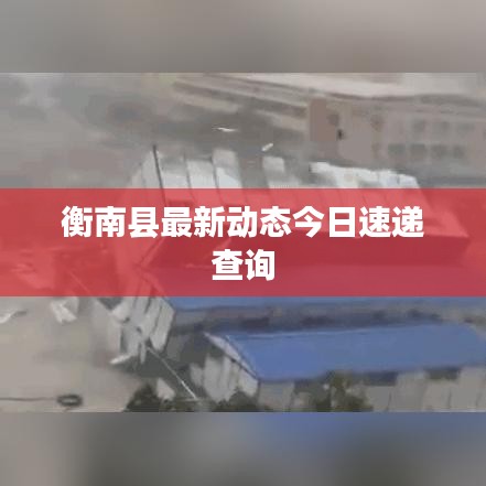 衡南县最新动态今日速递查询