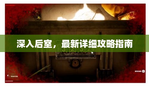 深入后室，最新详细攻略指南