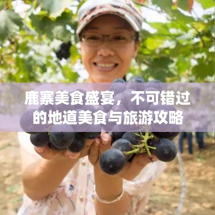 鹿寨美食盛宴，不可错过的地道美食与旅游攻略