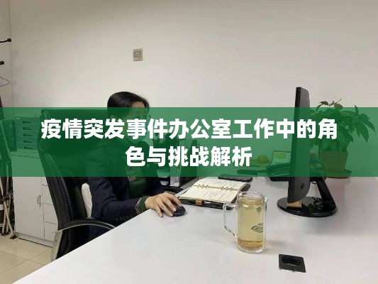 疫情突发事件办公室工作中的角色与挑战解析