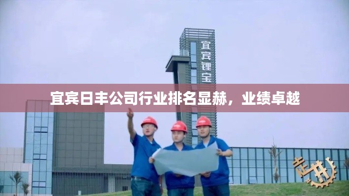 宜宾日丰公司行业排名显赫，业绩卓越