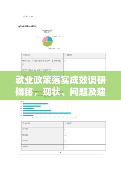 就业政策落实成效调研揭秘，现状、问题及建议的问卷调查报告