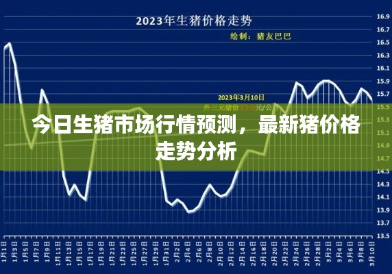 今日生猪市场行情预测，最新猪价格走势分析