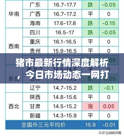 猪市最新行情深度解析，今日市场动态一网打尽