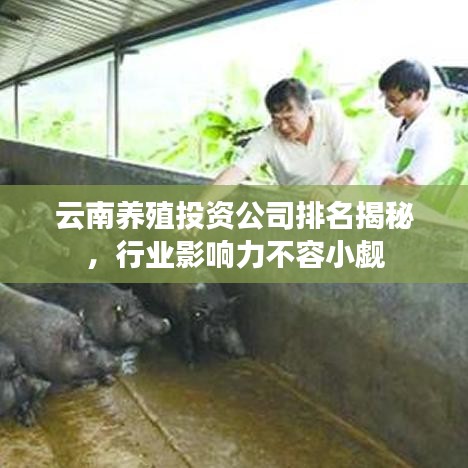 云南养殖投资公司排名揭秘，行业影响力不容小觑