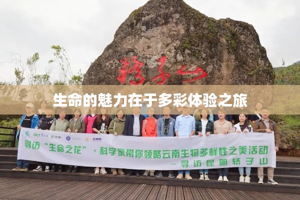 生命的魅力在于多彩体验之旅