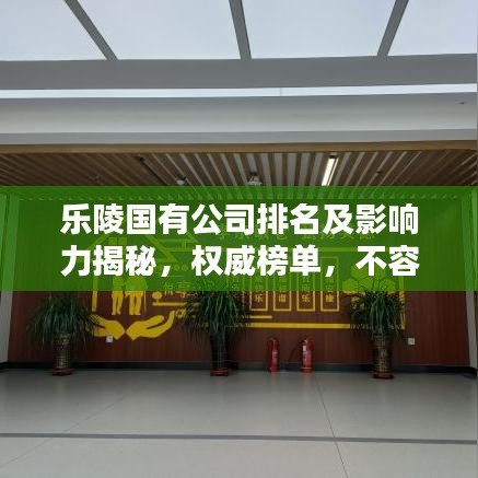 乐陵国有公司排名及影响力揭秘，权威榜单，不容错过！
