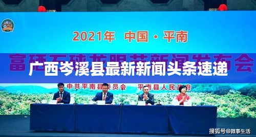 广西岑溪县最新新闻头条速递