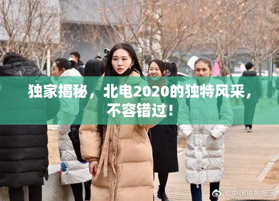 展翅欲飞