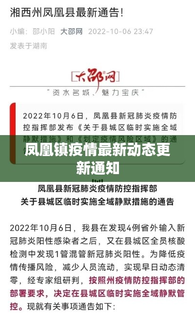 凤凰镇疫情最新动态更新通知