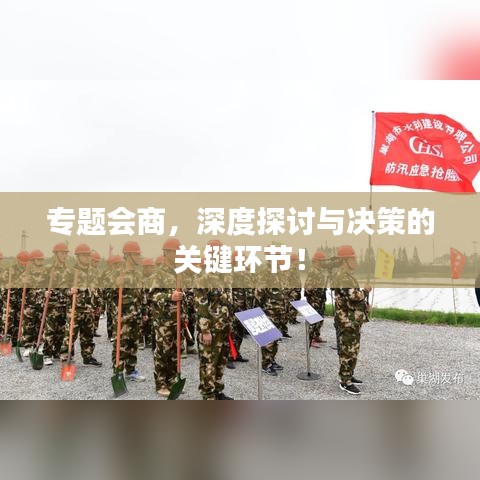 专题会商，深度探讨与决策的关键环节！