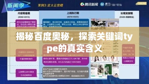 揭秘百度奥秘，探索关键词type的真实含义